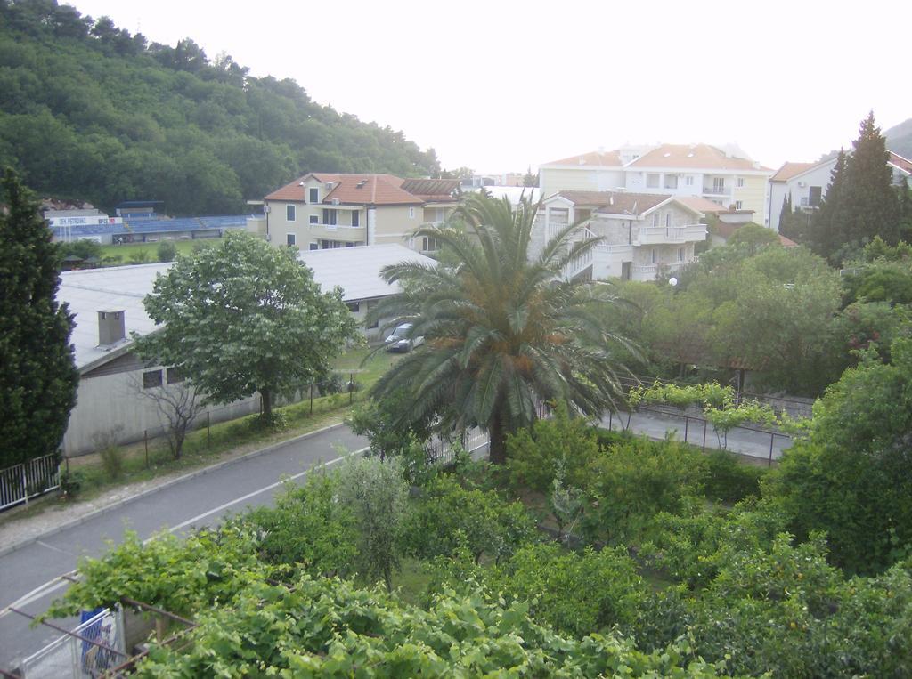 Guesthouse Lautasevic Petrovac Exterior photo